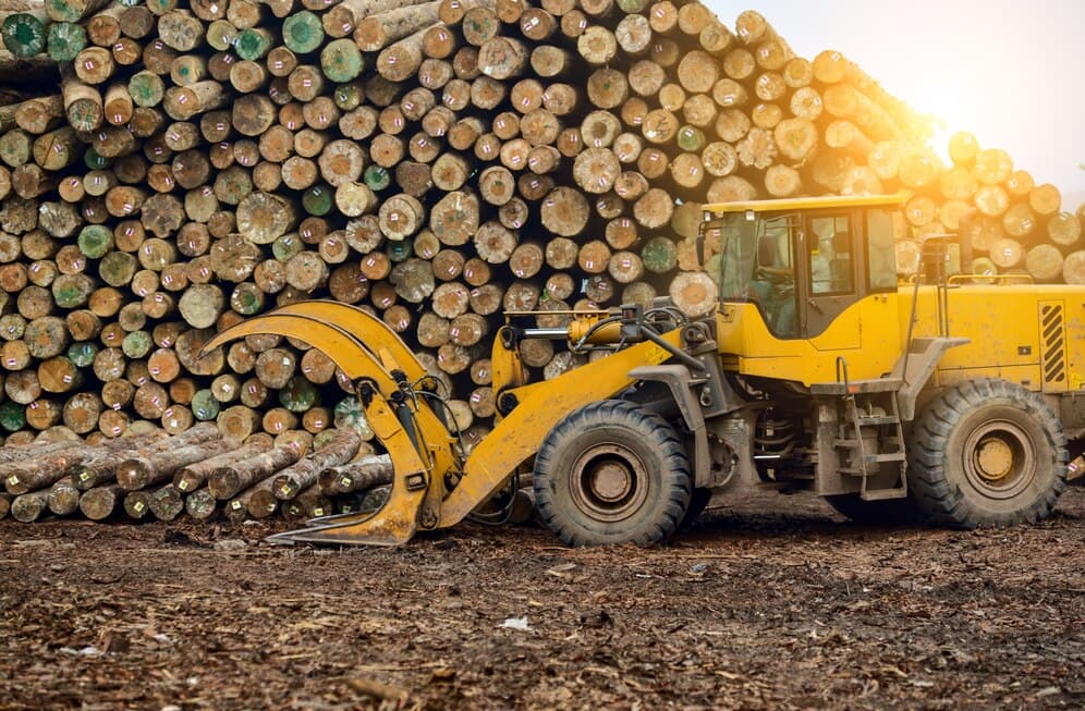 Skid Steer Loader (Bobcat) thumbnail